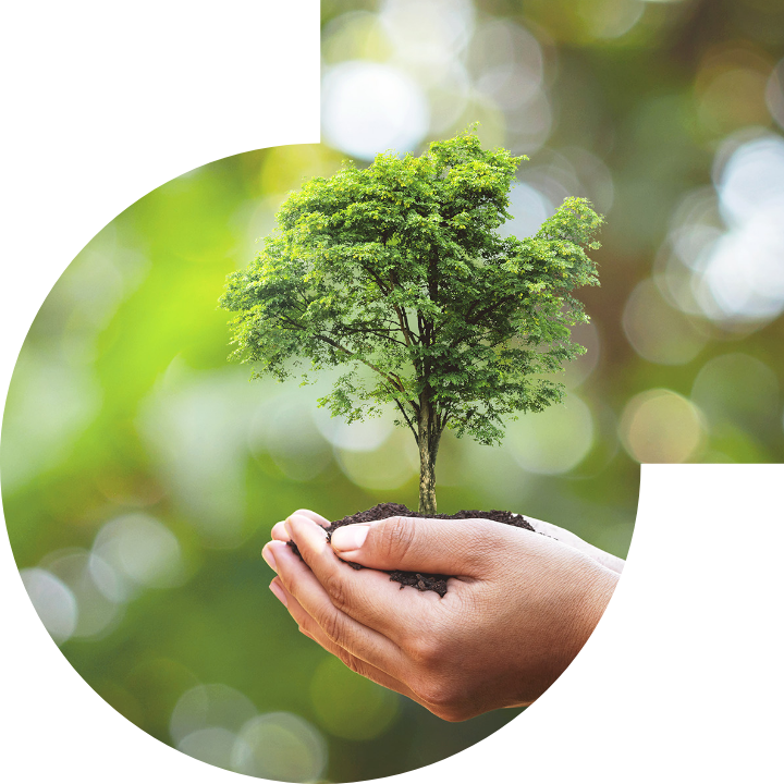 关怀人类、文化、环境与社会