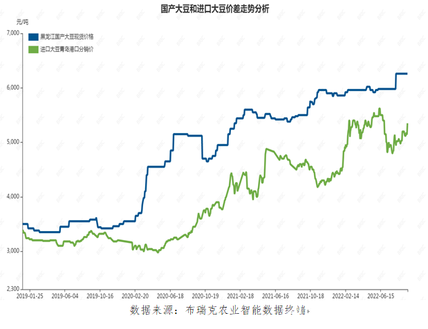 兆格分享： 非轉(zhuǎn)基因大豆生產(chǎn)遍布全球中國進口150萬噸