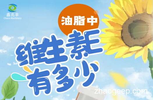 兆格分享：全自動液壓榨油機 維生素E是什么？什么食用油含維生素E高？